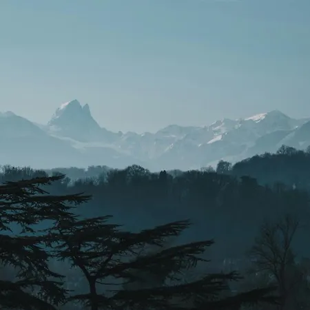 Le Honset Quartier Du Chateau *