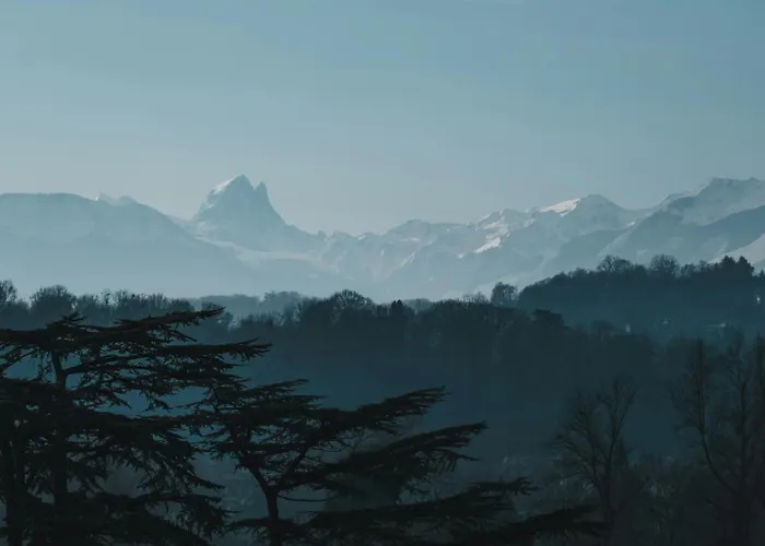 Le Honset Quartier Du Chateau *